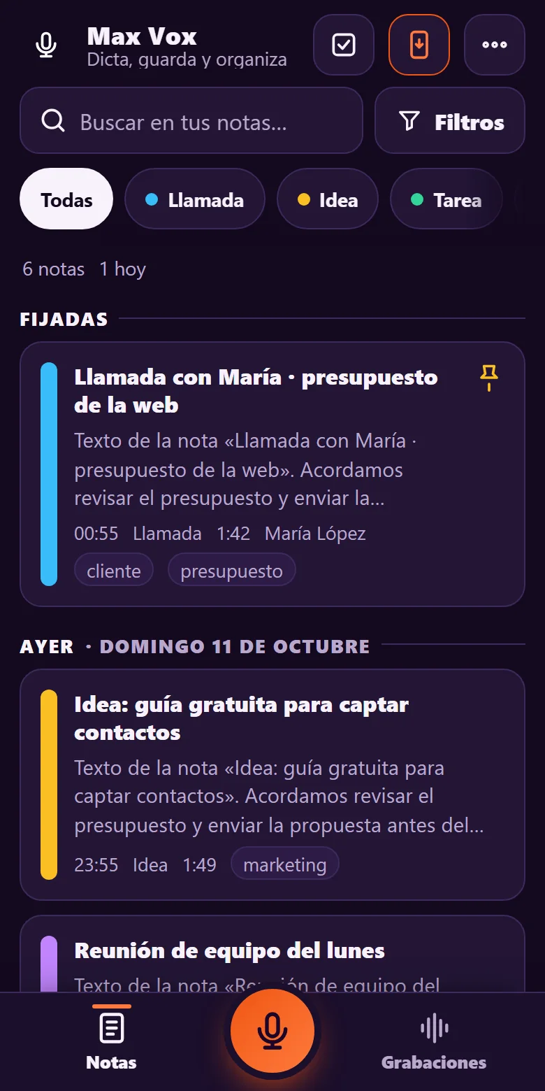 Pantalla de Max Vox con las notas del día ordenadas por tipo: llamadas, ideas y tareas